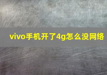 vivo手机开了4g怎么没网络