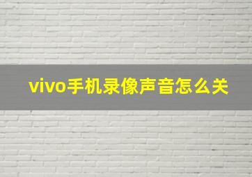 vivo手机录像声音怎么关