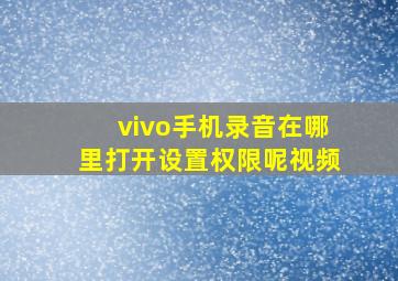 vivo手机录音在哪里打开设置权限呢视频