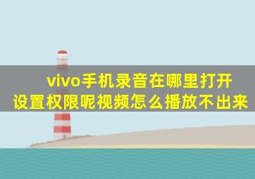 vivo手机录音在哪里打开设置权限呢视频怎么播放不出来