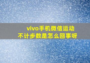 vivo手机微信运动不计步数是怎么回事呀