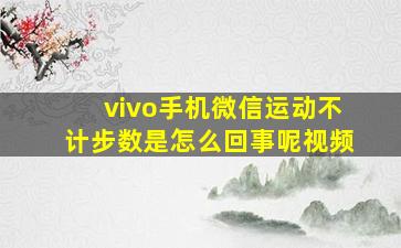 vivo手机微信运动不计步数是怎么回事呢视频