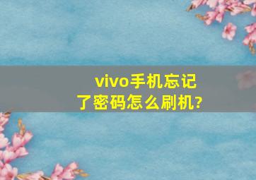 vivo手机忘记了密码怎么刷机?