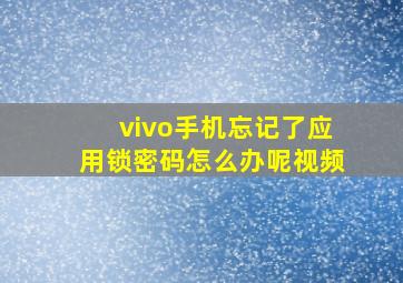 vivo手机忘记了应用锁密码怎么办呢视频