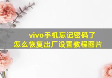 vivo手机忘记密码了怎么恢复出厂设置教程图片