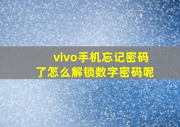 vivo手机忘记密码了怎么解锁数字密码呢