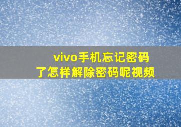 vivo手机忘记密码了怎样解除密码呢视频