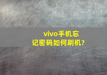 vivo手机忘记密码如何刷机?