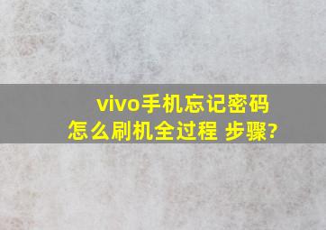 vivo手机忘记密码怎么刷机全过程 步骤?