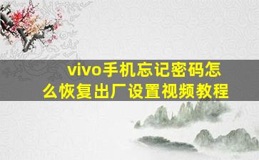 vivo手机忘记密码怎么恢复出厂设置视频教程