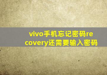 vivo手机忘记密码recovery还需要输入密码