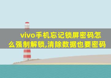 vivo手机忘记锁屏密码怎么强制解锁,清除数据也要密码