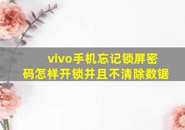 vivo手机忘记锁屏密码怎样开锁并且不清除数锯