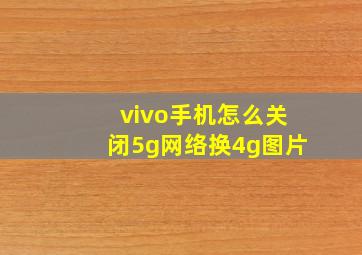 vivo手机怎么关闭5g网络换4g图片