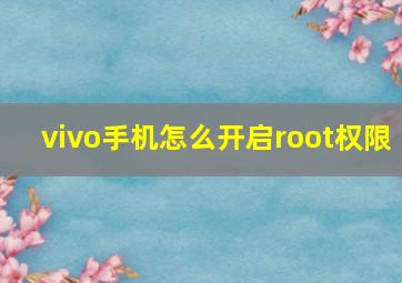 vivo手机怎么开启root权限