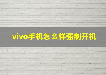 vivo手机怎么样强制开机