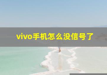 vivo手机怎么没信号了