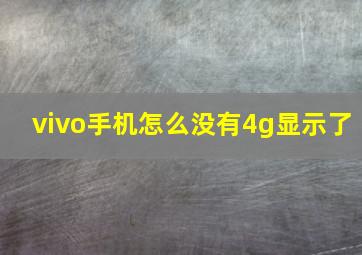 vivo手机怎么没有4g显示了