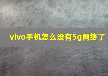 vivo手机怎么没有5g网络了