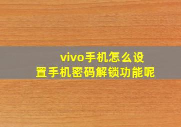 vivo手机怎么设置手机密码解锁功能呢