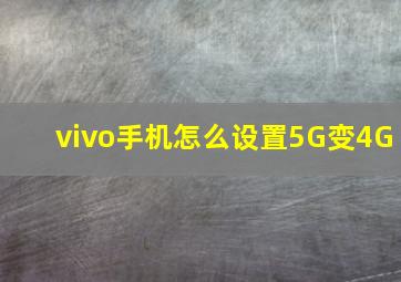 vivo手机怎么设置5G变4G