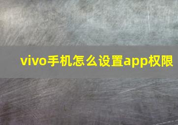 vivo手机怎么设置app权限