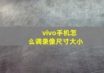 vivo手机怎么调录像尺寸大小