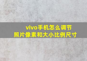 vivo手机怎么调节照片像素和大小比例尺寸