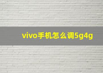 vivo手机怎么调5g4g