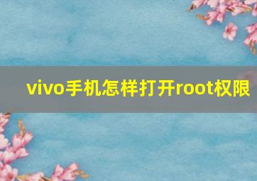 vivo手机怎样打开root权限