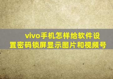 vivo手机怎样给软件设置密码锁屏显示图片和视频号