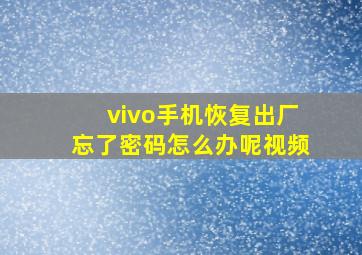 vivo手机恢复出厂忘了密码怎么办呢视频