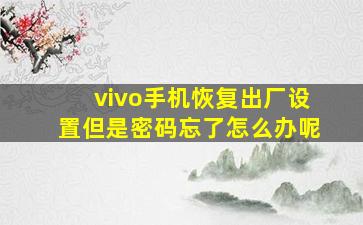 vivo手机恢复出厂设置但是密码忘了怎么办呢