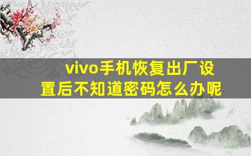 vivo手机恢复出厂设置后不知道密码怎么办呢