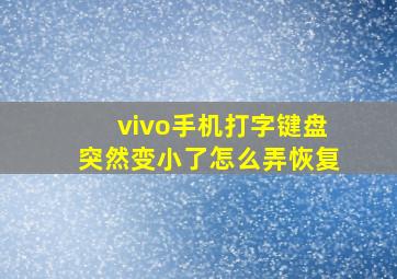 vivo手机打字键盘突然变小了怎么弄恢复