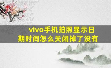 vivo手机拍照显示日期时间怎么关闭掉了没有