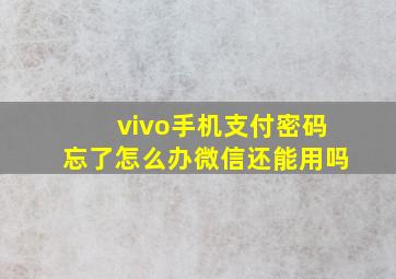 vivo手机支付密码忘了怎么办微信还能用吗