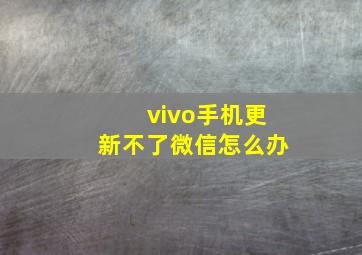 vivo手机更新不了微信怎么办