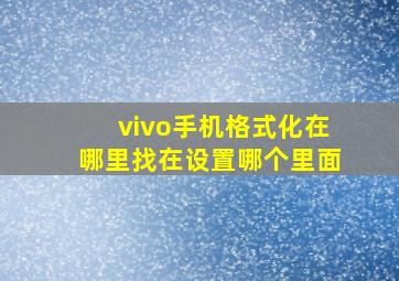 vivo手机格式化在哪里找在设置哪个里面