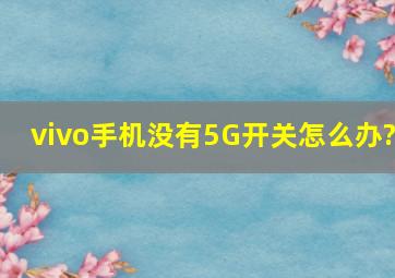 vivo手机没有5G开关怎么办?