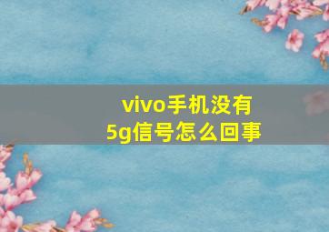 vivo手机没有5g信号怎么回事