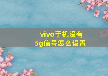 vivo手机没有5g信号怎么设置