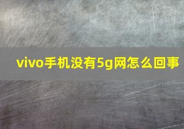 vivo手机没有5g网怎么回事