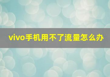 vivo手机用不了流量怎么办