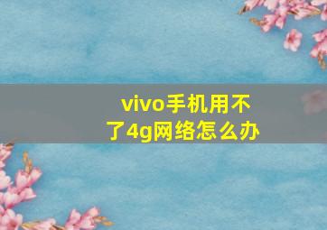 vivo手机用不了4g网络怎么办