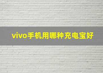 vivo手机用哪种充电宝好