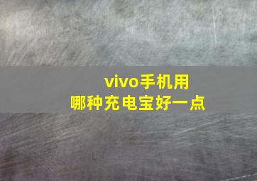 vivo手机用哪种充电宝好一点