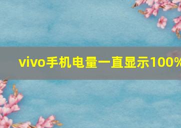 vivo手机电量一直显示100%