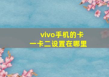 vivo手机的卡一卡二设置在哪里