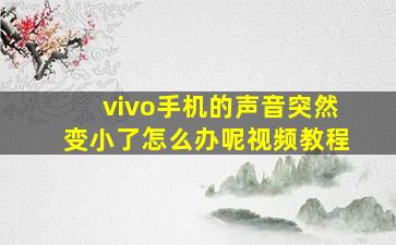 vivo手机的声音突然变小了怎么办呢视频教程